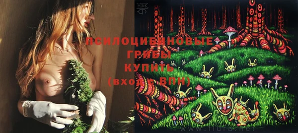 ALPHA PVP Бородино