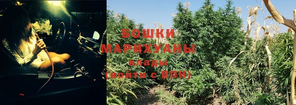 трава Бронницы