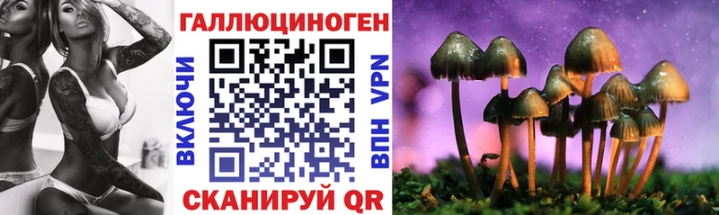 Галлюциногенные грибы Psilocybine cubensis  Сосногорск 