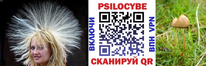Галлюциногенные грибы Psilocybine cubensis Сосногорск